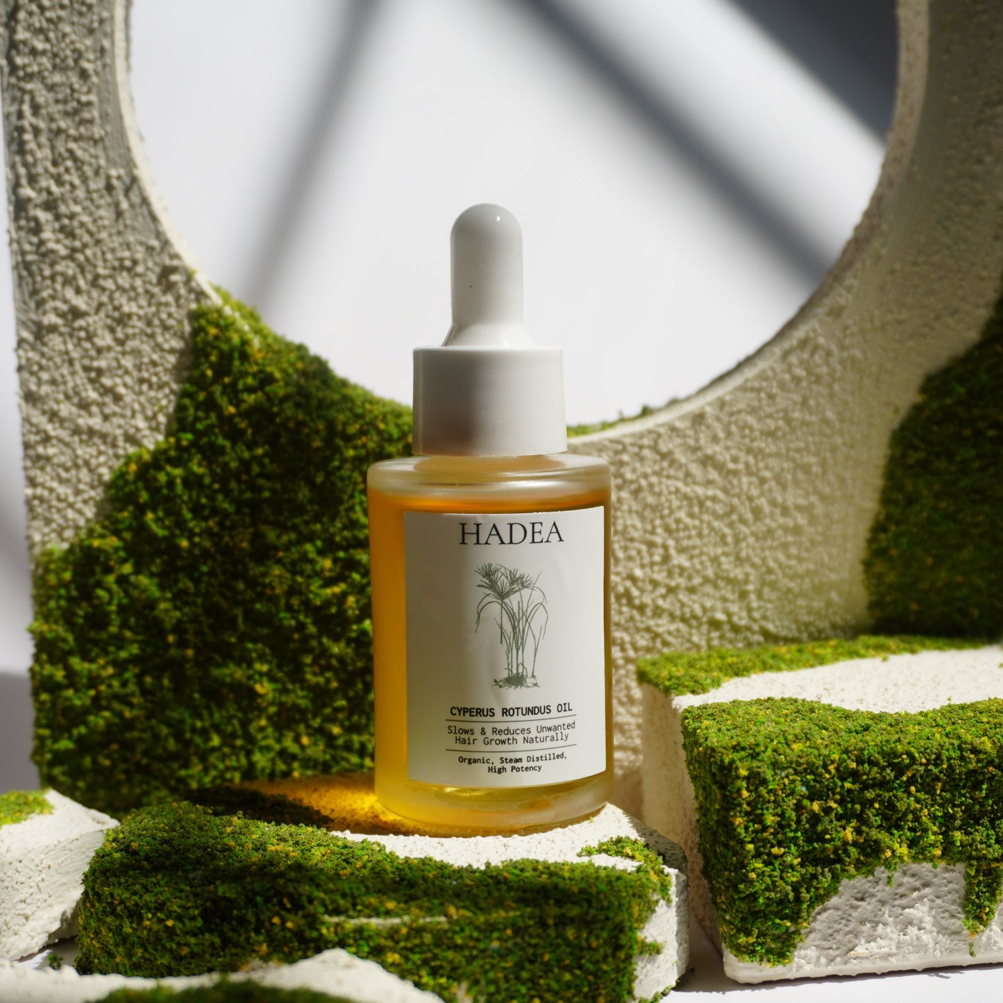 Cyperus Rotundus Oil to Reduce Hair Growth - New Version