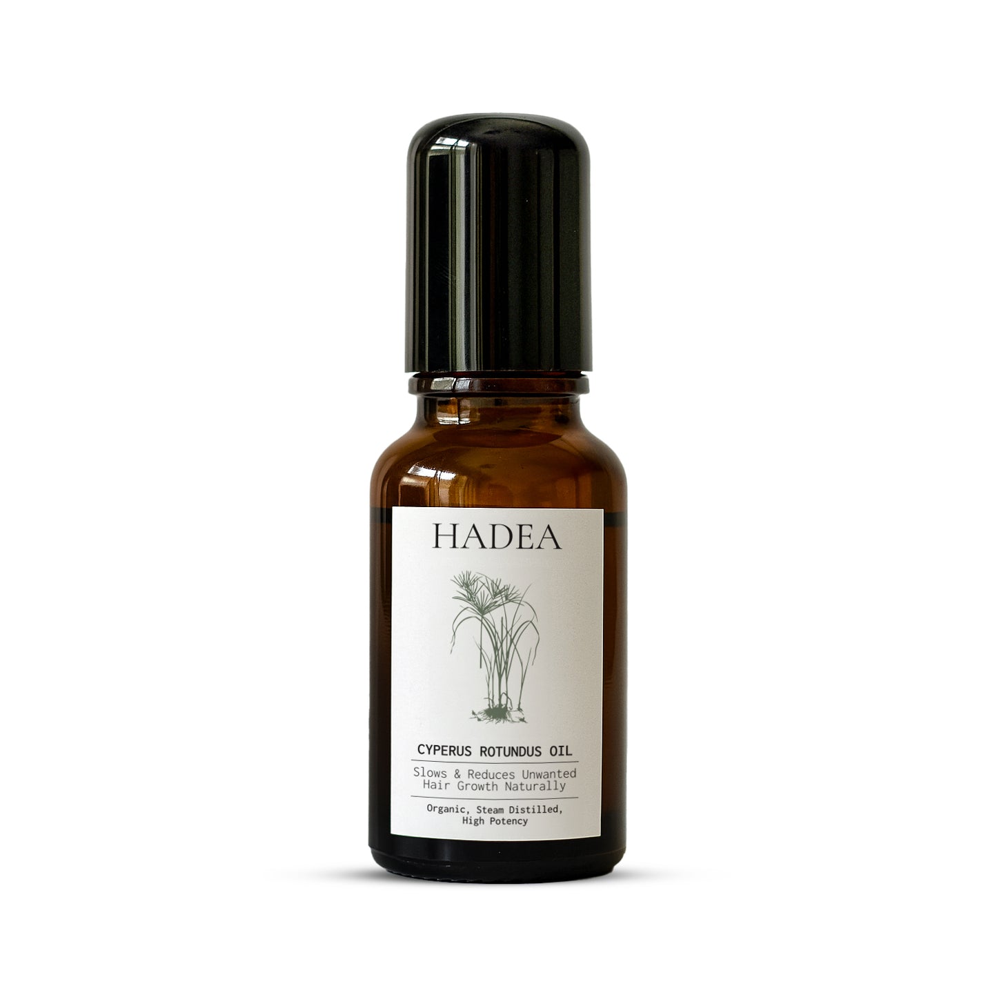 Cyperus Oil Roll On - 15ml / 0.5oz