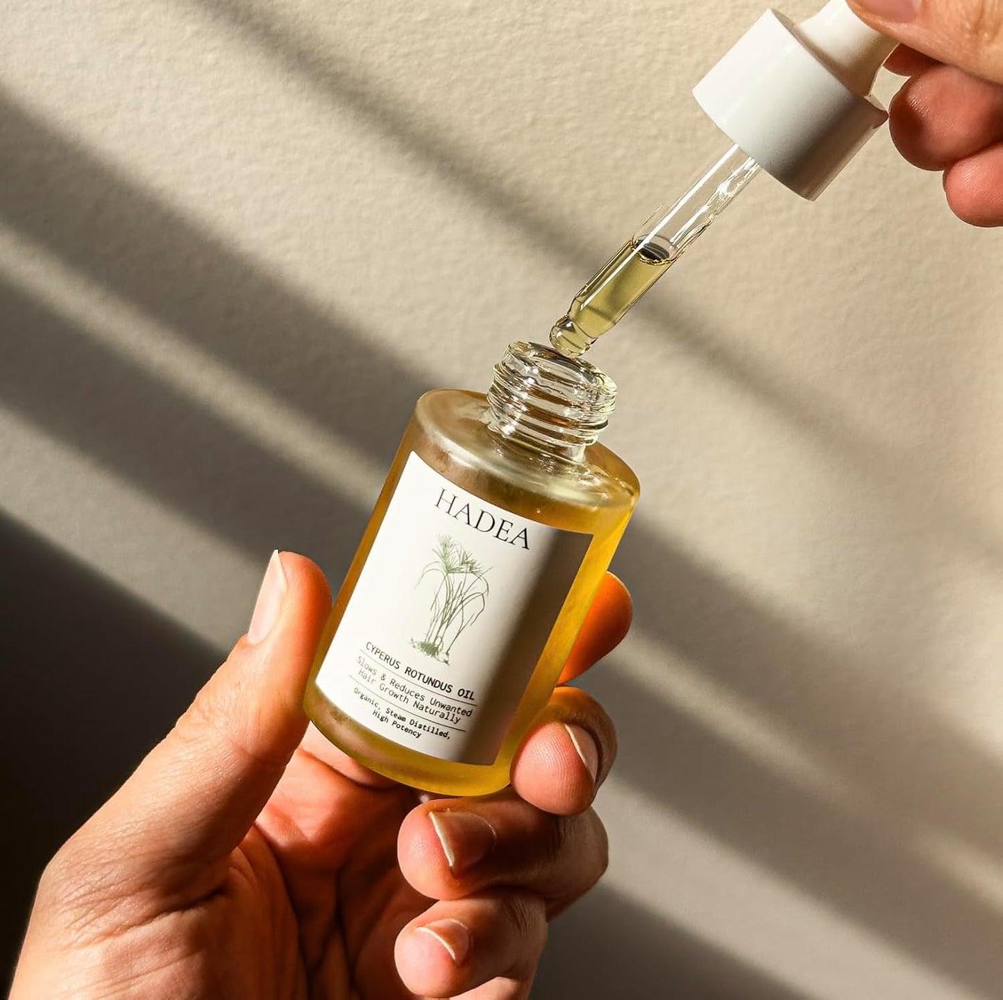 Cyperus Rotundus Oil to Reduce Hair Growth - New Version
