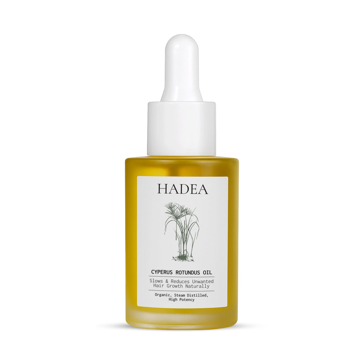 Cyperus Rotundus Oil to Reduce Hair Growth - New Version