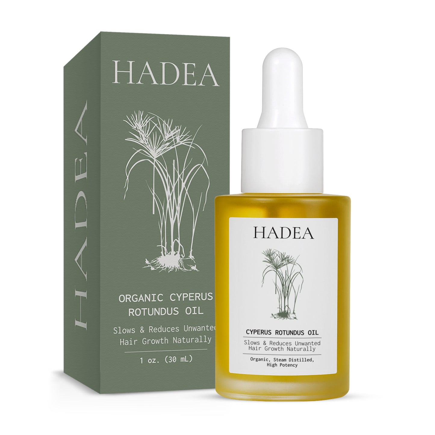 Cyperus Rotundus Oil to Reduce Hair Growth - New Version